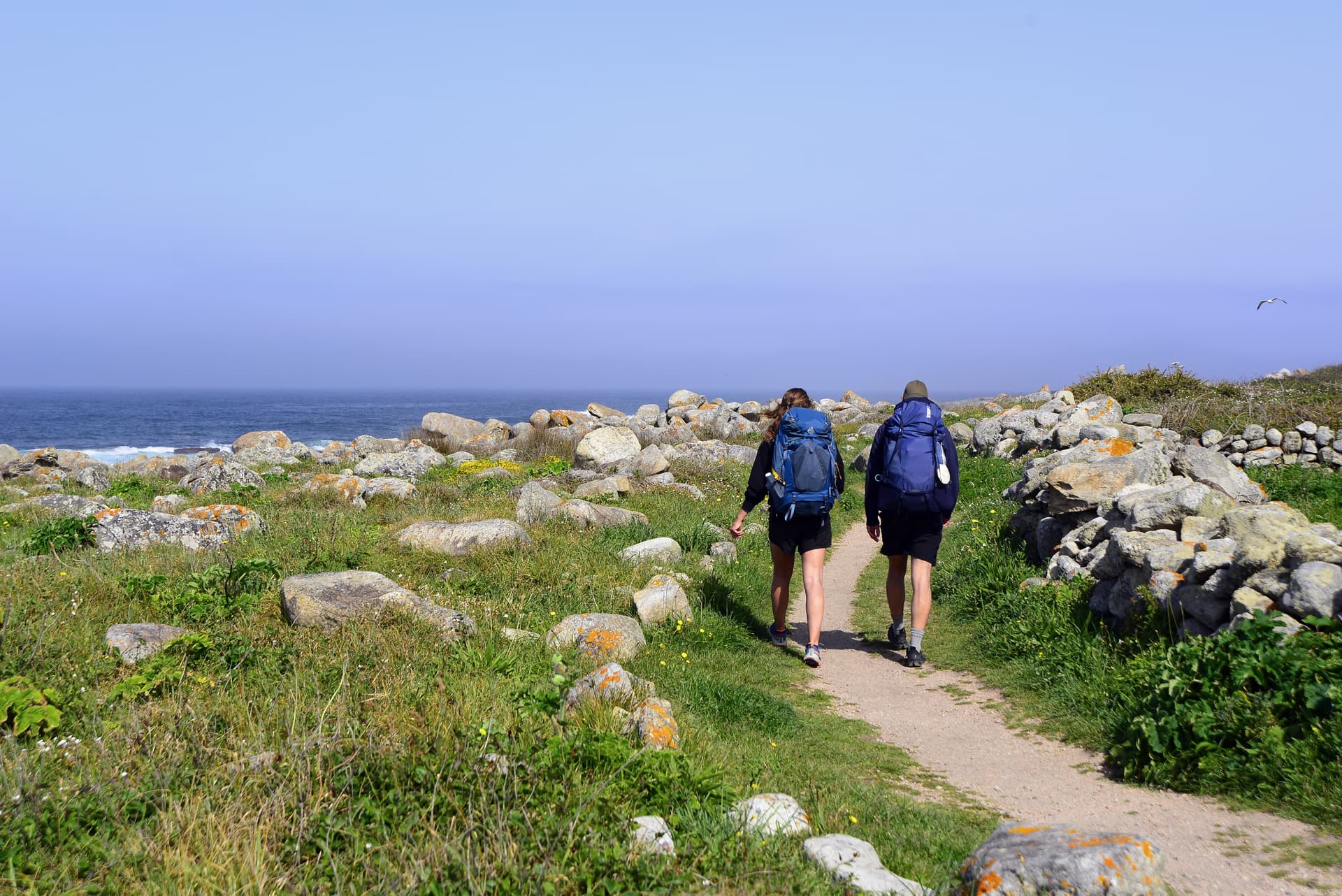 Etapas del Camino Portugués